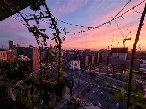 This is my balcony garden Today I managed to upload my balcony tour ...