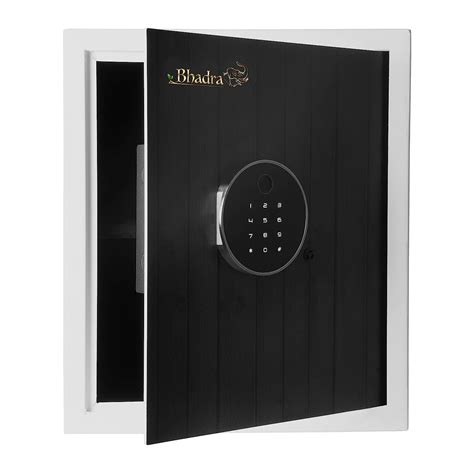 Bhadra Tentac Fingerprint & Password safe with Fabric : Amazon.in: Home ...