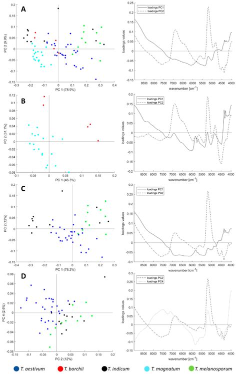 Food Authentication: Truffle (Tuber spp.) Species Differentiation by FT ...