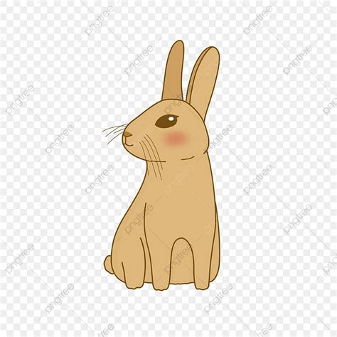 Image result for Sample Programs of HTML