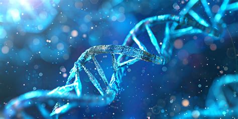Image result for Genetics Algorithm Define