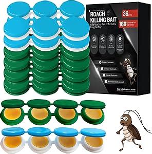 Cockroach Infestation Solutions 的图像结果