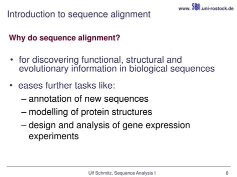 Bioinformatics Sequence 的图像结果