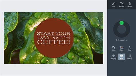 Image result for Adobe Spark Video Examples