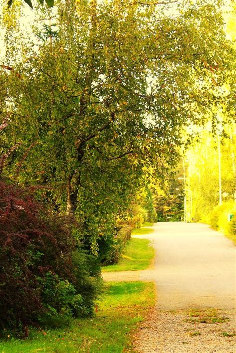 JOULUKORTTIKUVAUKSET , Hollola,lahti Finland, Hyvinkää, 11 November to ...