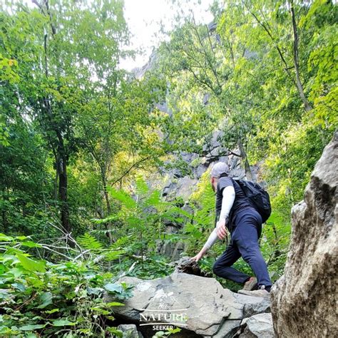 18 Best Hikes Near NYC That Make For Perfect Day Trips