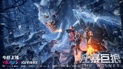 电影《狂暴巨狼》今日上线 人狼对决开启绝命厮杀_中国网