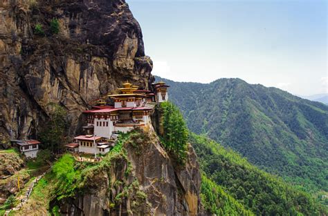 Image result for Bhutan Python Coders