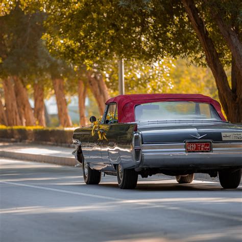 IRTH (2025) All You Need to Know BEFORE You Go (with Photos) - Tripadvisor