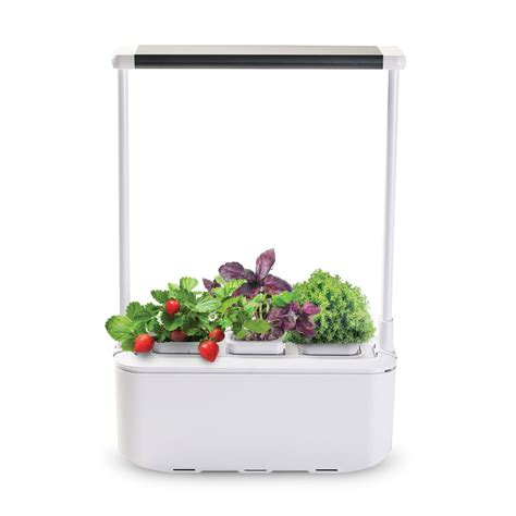 Умный сад для выращивания растений iGarden PRO с подсветкой купить по ...