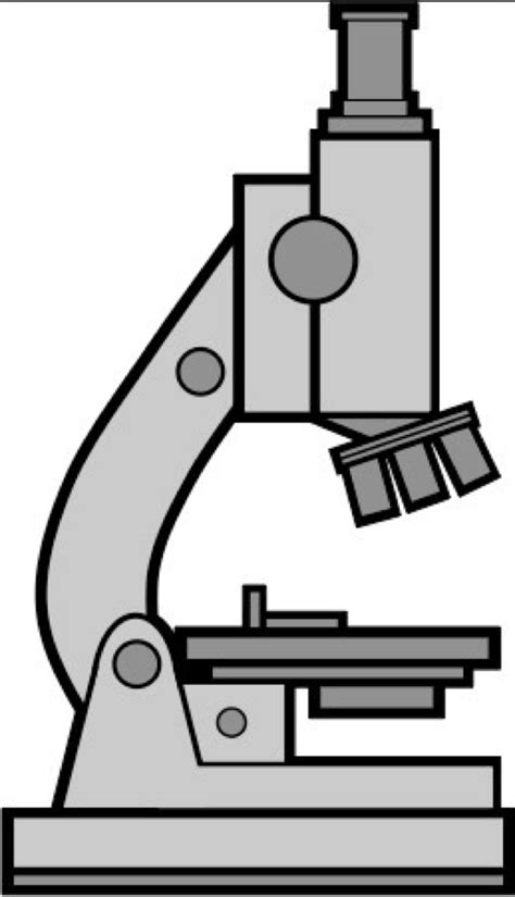 Light Microscope Examples 的图像结果