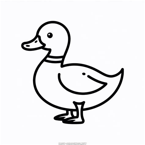 Duck for kids Easy Drawing | Easy Drawings