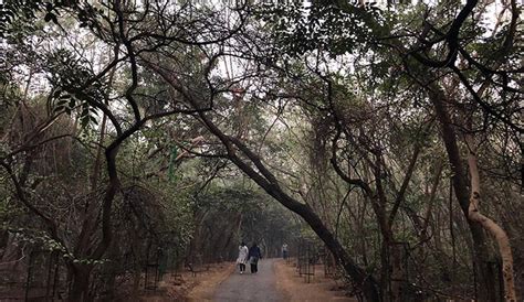 Jahanpanah City Forest, New Delhi, Delhi | WhatsHot Delhi Ncr