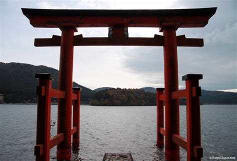 Image result for jinja