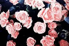 Girly Wallpaper For Laptop by Girly Wallpapers Wallpaper Cave Girly Wallpaper For Laptop