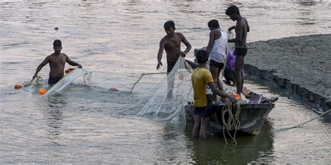 How New Fishing Tech Can Reduce Bycatch of Turtles and Other Creatures ...