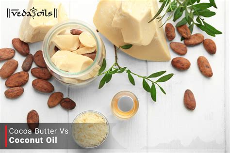 Cocoa Butter Vs Coconut Oil - Which One Is Better For You? – VedaOils