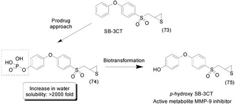The Prodrug Approach: A Successful Tool for Improving Drug Solubility