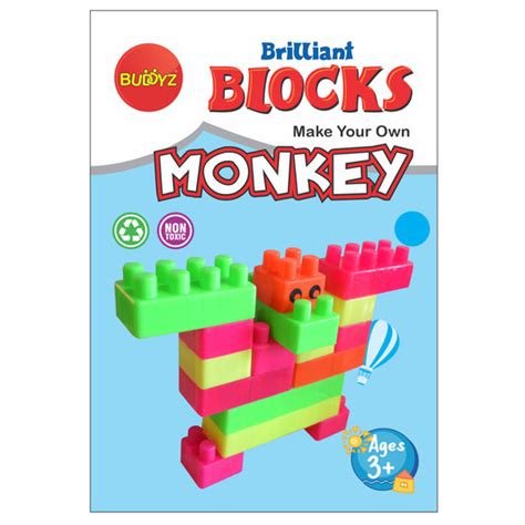Brilliant Blocks Building Blocks for Kids - BUDDYZ – Buddyz
