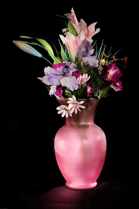 Free Images : purple, petal, vase, pink, flora, still life, art ...