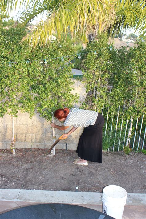 Proper Brick Oven - Mattone Barile - BrickWood Ovens