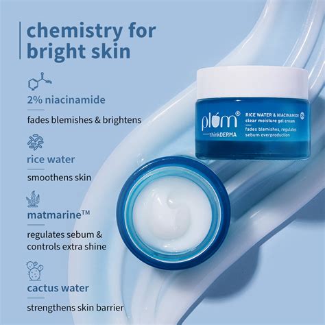 Shop 2% Niacinamide Moisturizer Gel Cream with Rice Water Online – Plum