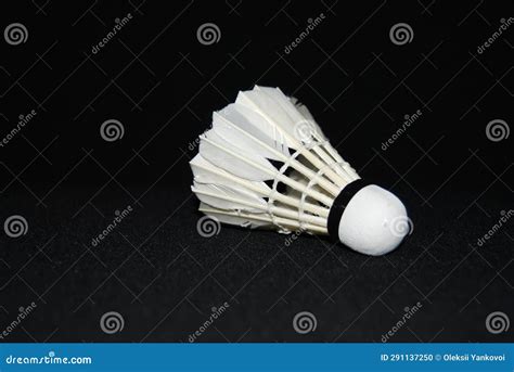 Shuttlecock 的图像结果