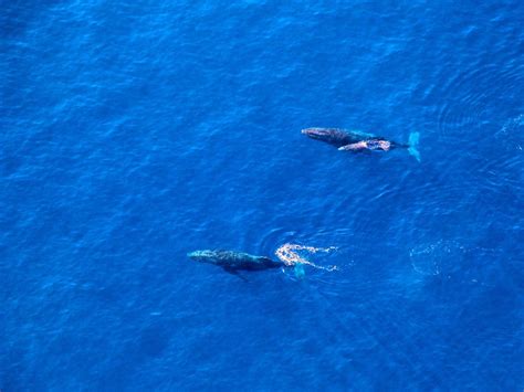 FÉLIX ULM (2026) All You Need to Know BEFORE You Go (with Photos ...