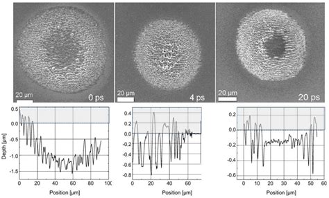 Dynamics and Processes on Laser-Irradiated Surfaces