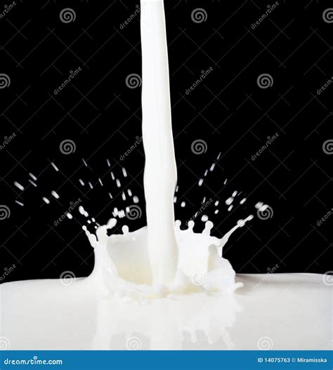 Milk Processing Steps 的图像结果