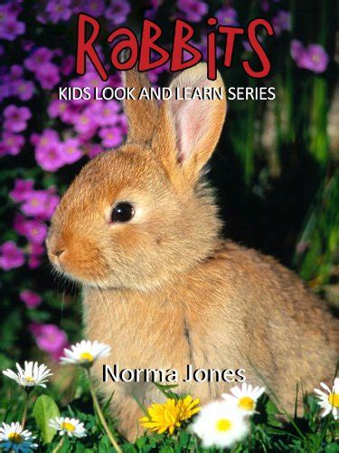 Rabbits! Learn About Rabbits and Enjoy Colorful Pictures - Learning Fun ...