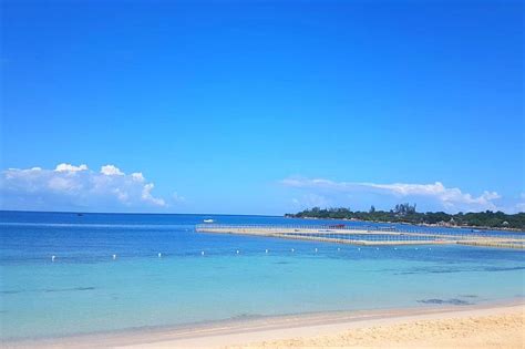 TOUR DUN JAMROCK (2026) All You Need to Know BEFORE You Go (with Photos ...