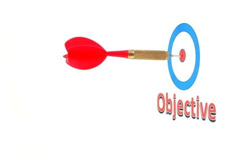 Image result for Objective Function Model
