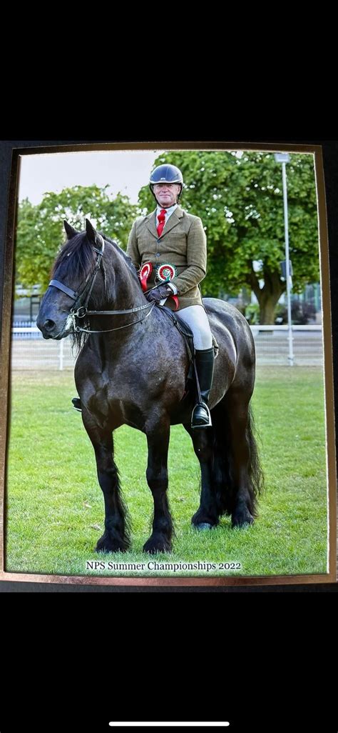 Richard Telford Training, Muirmill Equestrian Centre, Kilmarnock, 20 ...