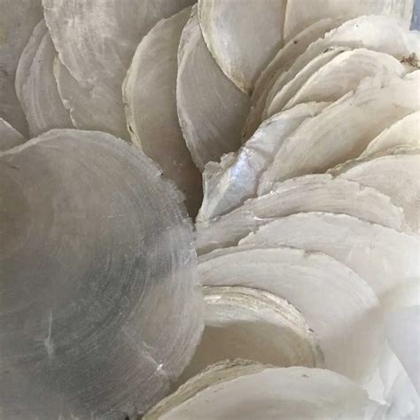 2018 Best Natural Craft Raw Capiz Shell for Wind Chimes