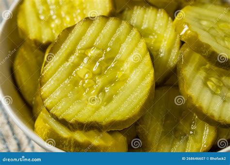 Homemade Preserved Dill PIckle Slices Stock Image - Image of organic ...