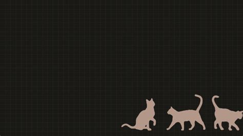 Cute Cat Wallpaper for Your Notebook