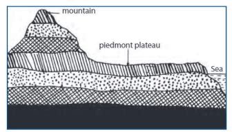 Landforms Chapter Notes - Geography Class 6 ICSE PDF Download