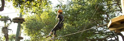 Cocoa Beach Aerial Adventures & Zip Lines