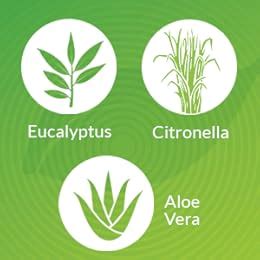 Bodyguard Natural Anti Mosquito Spray - 100 ml (Pack of 2) : Amazon.in ...