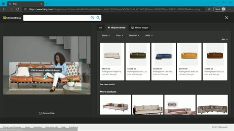 Visual Search in Bing 的图像结果