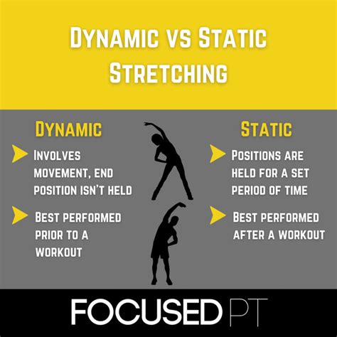 Static and Dynamic Stretching 的图像结果