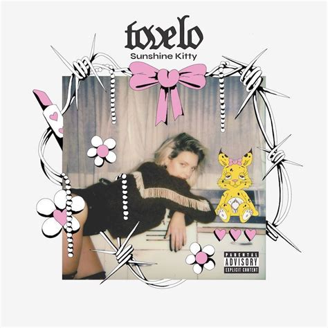 Sunshine Kitty (Paw Prints Edition) | Álbum de Tove Lo - LETRAS.COM
