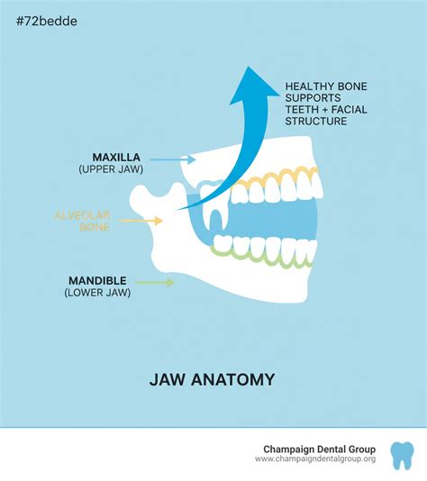 The Ultimate Guide to Jaw Bone Health
