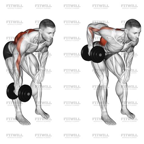 Dumbbell Single Arm Bent Over Row: Exercise Guide, Video, Techniques, Benefits, How to, Muscles ...