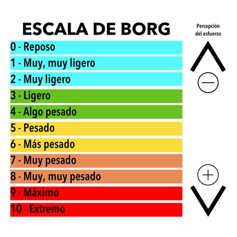 ¿Qué es el RPE? – META