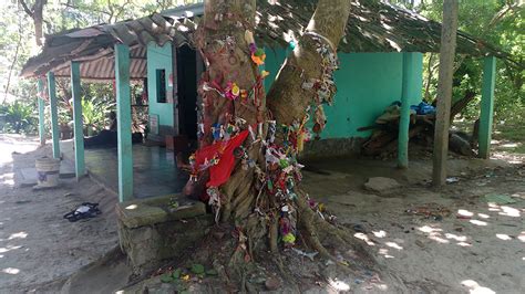 In Bengal's Sundarbans, the fading Bonbibi goddess cult straddles the ...