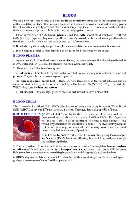 Ch 6 the circulatory system | PDF