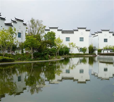 HANK (2026) All You Need to Know BEFORE You Go (w/ Reviews) - Tripadvisor