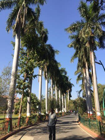 Baroda Museum And Picture Gallery (Vadodara) - 2019 What to Know Before ...
